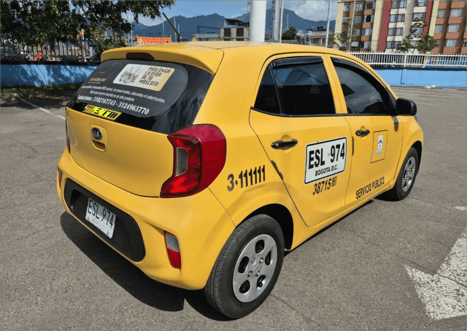 PIntúra en perfecto estado