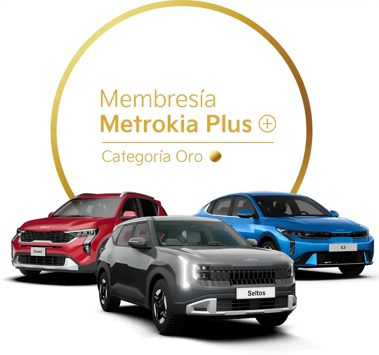Aplica para KIA Seltos | KIA Sonet
Por kilómetro recorrido ganas: $45 COP*

Acumula hasta: $2.250.000*